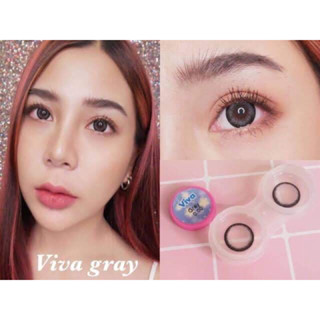 🌲Bigeyes Viva Brown/Gray🌲สายตาปกติ(Kitty kawaii)