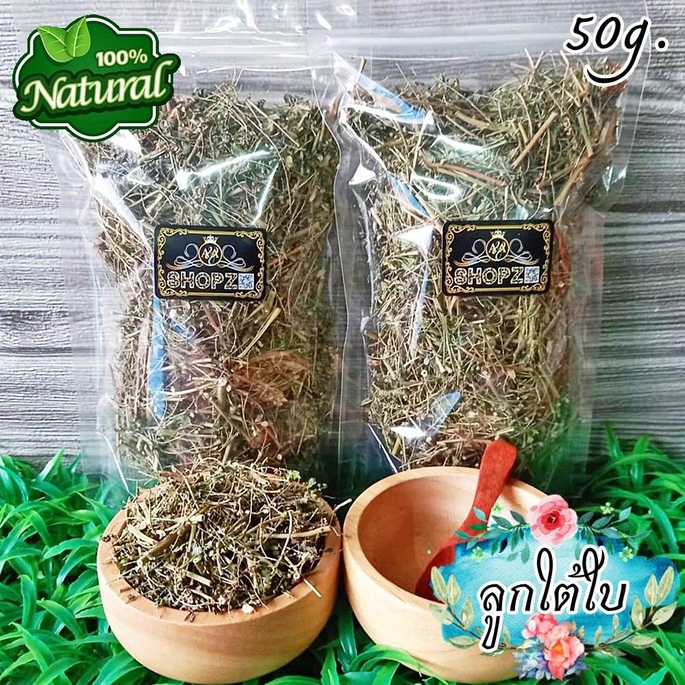🌿ชาลูกใต้ใบ🌿 50 กรัม ลูกใต้ใบอบแห้ง Dried Phyllanthus Niruri