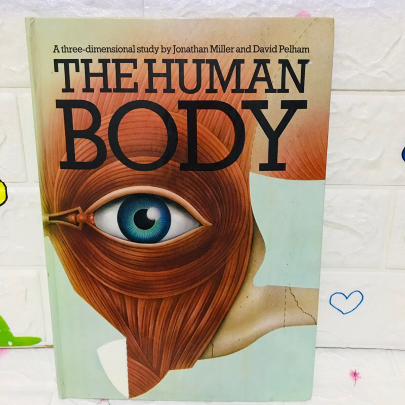A three -dimensional study by Jonathan Miller and David Pelham THE HUMAN BODY หนังสือความรู้เกี่ยวกั