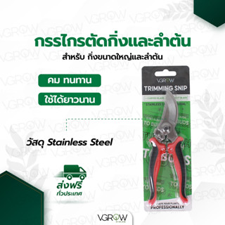 กรรไกรตัดกิ่ง กรรไกรตัดลำต้น สเตนเลส Scissor Stainless Steel Prunner กรรไกรตัดแต่งกิ่ง กรรไกรตัดลำต้น