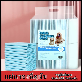 🔥พร้อมส่ง🔥แผ่นรองฉี่สำหรับสัตว์เลี้ยง ผิวสัมผัสดี ซึมซับไว ดูดซึมเร็ว แผ่นรองฉี่ แผ่นรองฉี่แมวสุนัข