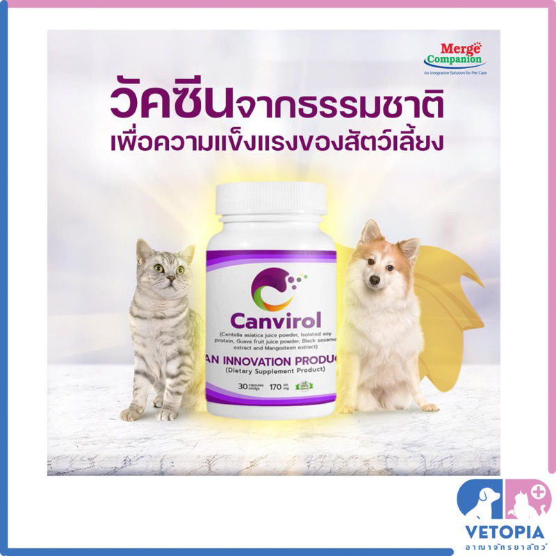 Canvirol 170 mg และ 850 mg <30 แคปซูล>