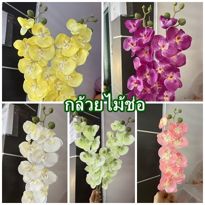 ดอกกล้วยไม้ (สีลายๆๆเสมือนจริงเกรดpremium ช่อ 9ดอก มีดอกตูม 4 ดอก) ฟาแลน ดอกกล้วยไม้ฟาแลนด์  กล้วยไม