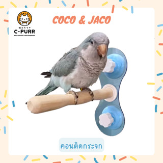 Coco &amp; Jaco คอนนก คอนไม้ คอนติดกระจก