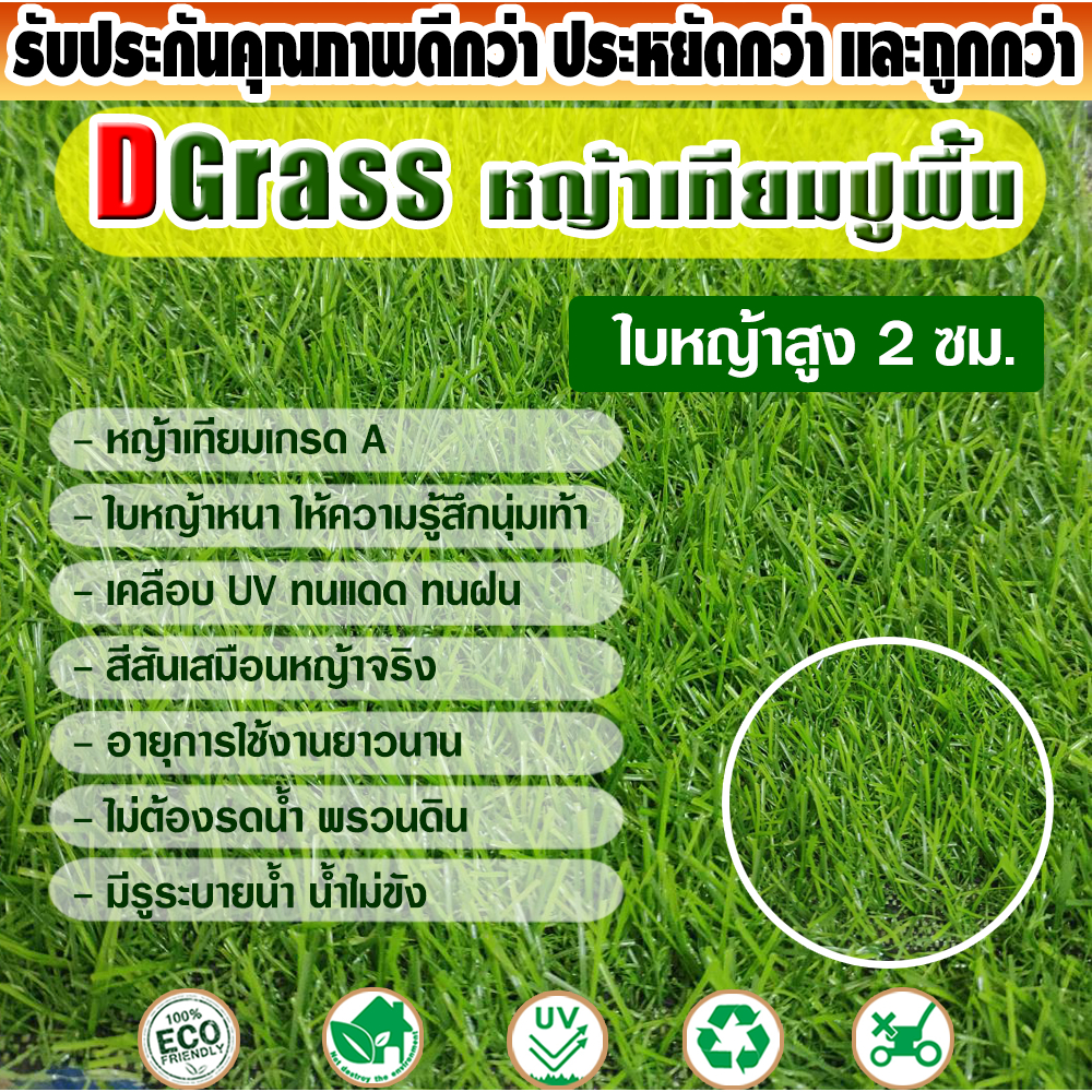หญ้าเทียมปูพื้น Dgrass สำหรับตกแต่งสวน แต่งบ้าน หญ้าเกรด A สีเหมือนจริง ความสูง 2 ซม. รุ่น 2K (เขียวล้วน) มีขนาดให้เลือก
