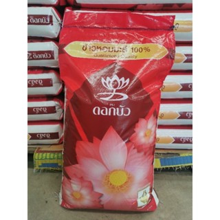 ข้าวหอมมะลิปี65 ตราดอกบัว น้ำหนัก 45กก. พร้อมส่ง