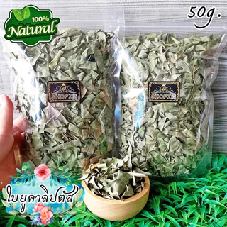 🌿ชาสมุนไพร🌿 ชาใบยูคาลิปตัส ใบยูคาลิปตัสอบแห้ง ขนาด 50 กรัม Dried Eucalyptus Leaves