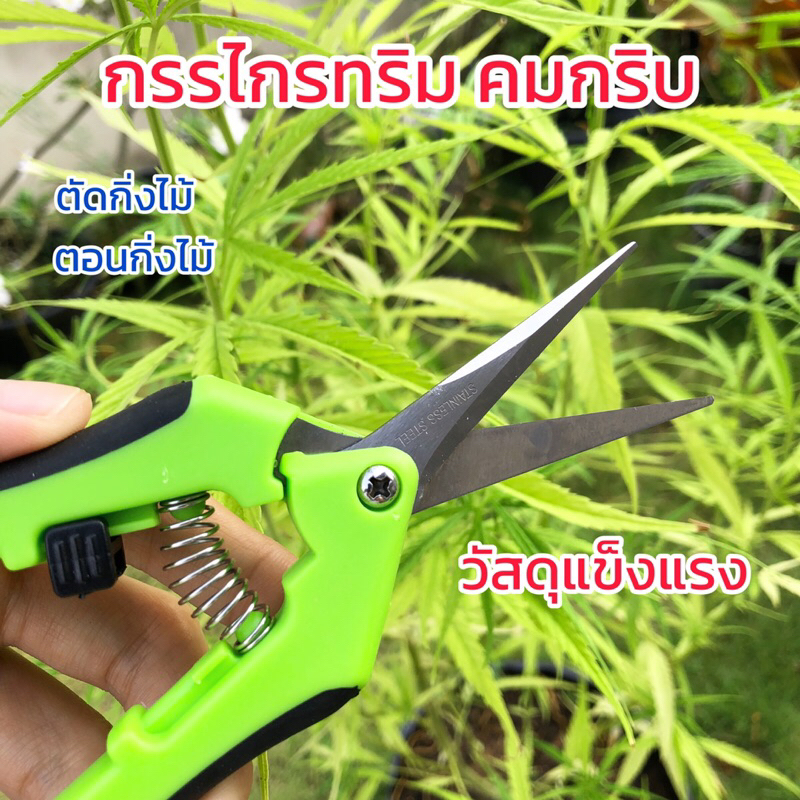 กันไกรตัดกิ่งไม้ ที่ตัดกิ่งไม้คีมตัดกิ่งไม้
