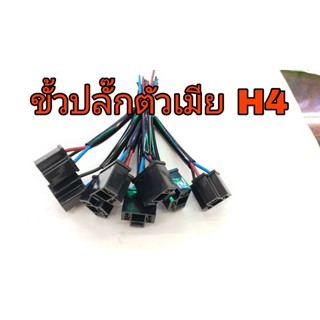 ขั้วปลั๊กไฟหน้าH4(ตัวเมีย)อะไหล่ปลั๊กไฟหน้ารถยนต์ อันละ40บาท