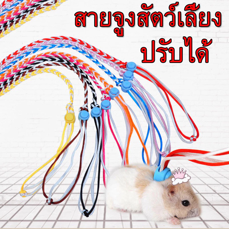 ถูก💥เชือกจูงกระรอก ยาว1.4m สุ่มสี สายรัดอก ที่รัดอก ที่จูง เชือกรัดอก สัตว์เลี้ยง ชูการ์ กระรอก ฯลฯ.