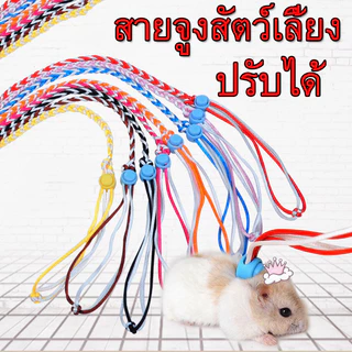 ถูก💥เชือกจูงกระรอก ยาว1.4m สุ่มสี สายรัดอก ที่รัดอก ที่จูง เชือกรัดอก สัตว์เลี้ยง ชูการ์ กระรอก ฯลฯ.