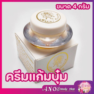 Merina เมอร์รีน่า ครีมแก้มบุ๋ม เป็นทั้ง Day cream &amp; Night cream ขนาด 4  กรัม