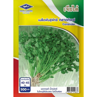 เมล็ดพันธุ์ผักชี หยาดทิพย์ เจียไต๋ ขนาด 500 กรัม ( เมล็ดผักชี ผักชีป้อม ผักชีจีน ผักชีไทย ผักชีเลือด ผักชี เม็ดผักชี)