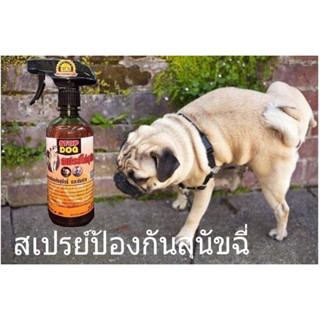 มาใหม่ของดร สมุนไพรฉีด ป้องกันน้องสุนัขฉี่ขับถ่ายไม่เป็นที่ ขนาด 500 ml.