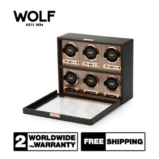 กล่องหมุน กล่องนาฬิกา WOLF1834 รุ่น AXIS 6 PIECE WATCH WINDER (COPPER)