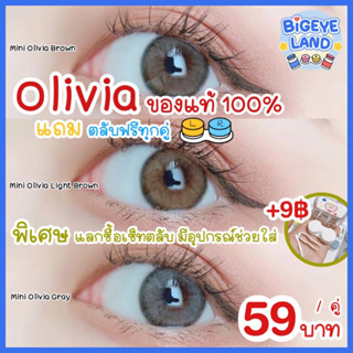 คอนแทคเลนส์ Mini Olivia Brown / Light Brown / Gray (Kitty Kawaii) ขนาดมินิ 🌷 ลายฮิต ขายดีมาก