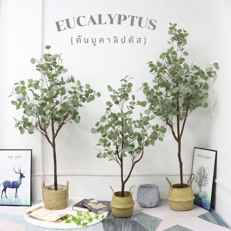(พร้อมส่งจากไทย)🌳𝙀𝙪𝙘𝙖𝙡𝙮𝙥𝙩𝙪𝙨 𝙏𝙧𝙚𝙚 (ต้นยูคาลิปตัส) ต้นประดิษฐ์งานเหมือนจริง ใบกลมๆน่ารัก แต่งห้องแต่งบ้านสวยงามมาก