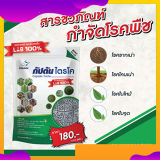 ไตรโคเดอร์มา แบบผง 1 ซอง (500กรัม) ช่วยป้องกันและกำจัดเชื้อร…