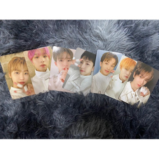 พร้อมส่ง ✅  สติ๊กเกอร์+การ์ดNCT DREAM แท้ 100%!! (SSG 2023)