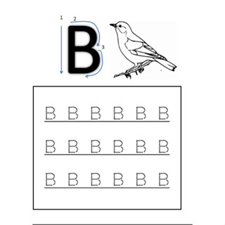 คัดภาษาอังกฤษ A-Z หนังสือคัดภาษาอังกฤษ