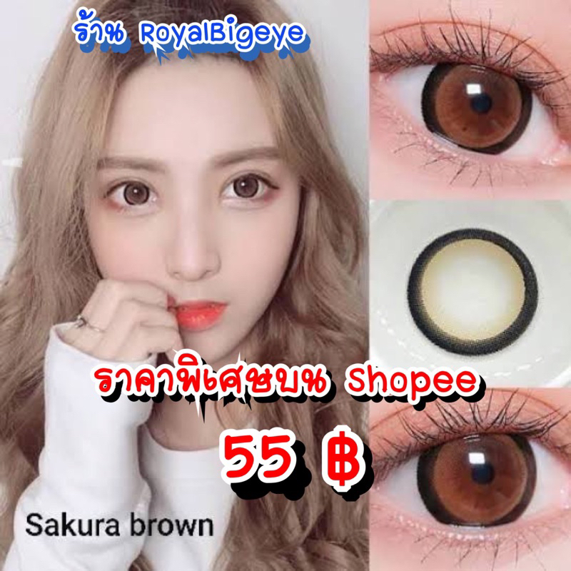 คอนแทคเลนส์ Sakura Brown - Pitchy Lens / Pretty Doll สีน้ำตาลขนาดตาโต มีสายตาถึง -7.00