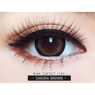 ส่งด่วนทุกวัน‼️คอนแทคเลนส์ Sakura Brown - Wink Lens / Pitchy Lens สีน้ำตาลขนาดตาโต