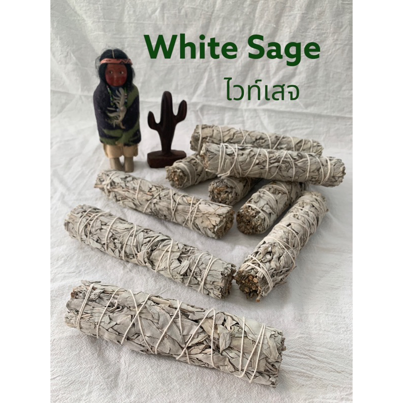 พร้อมส่ง ถ่ายจากสินค้าจริง  White Sage ไวท์เสจ California White Sage