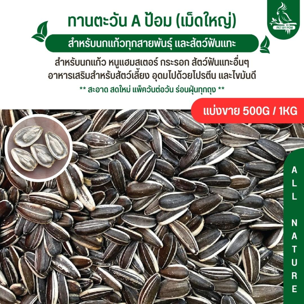 เมล็ดทานตะวัน Aป้อม เกรดAไม่มีฝุ่น อาหารนกแก้ว (แบ่งขาย 500G / 1KG)
