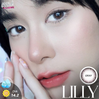 Lilly eff.16 (มินิ) 💫ค่าสายตา 0.00 ถึง -5.00💫เลนส์กรองแสง Wink lens. (วิ้งค์)