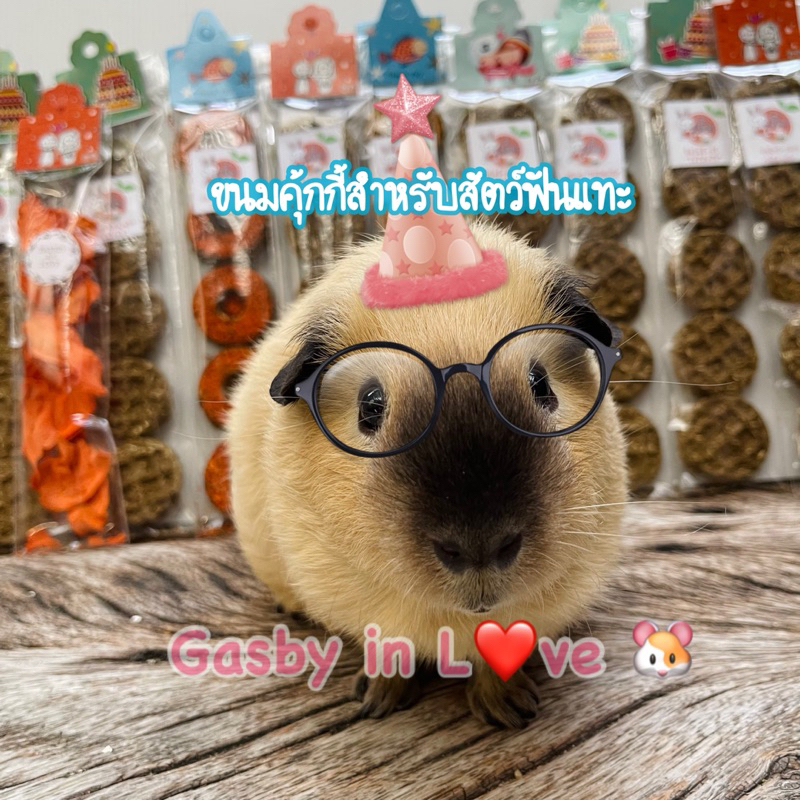 4 แถม 1 (อ่านรายละเอียดด้านในนะคะ) ขนม คุ้กกี้ (ไม่ผสมแป้ง) สำหรับสัตว์ฟันแทะ 🍪🌱🐹🐰