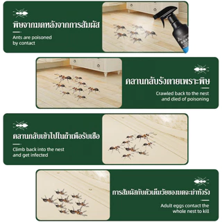 ยาฆ่ามด ยากำจัดมด กำจัดมด สเปรย์กำจัดมด 300ML ได้ผล 100% ฆ่ามด ไล่มด ยาฉีดมดในบ้าน สเปรย์ไล่มด กำจัดมด ยกรัง ฆ่ามด