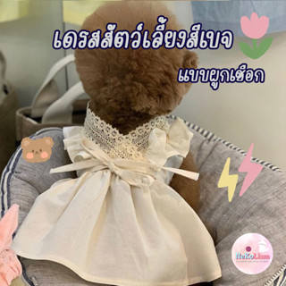 เดรสสัตว์เลี้ยง Sand Beige Pet Dress ชุดสัตว์เลี้ยงสีเบจ เสื้อแมว ชุดแมว