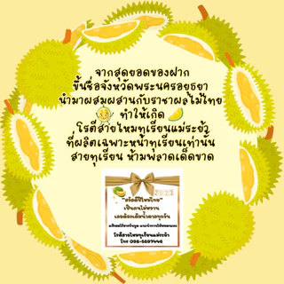 โรตีสายไหมทุเรียนแม่ระย้า โรตีสายไหมอยุธยา พร้อมส่งด่วนทั่วประเทศ ซีลแป้งถุงสูญญากาศ