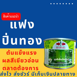 (ของแท้ ส่งไว) แฟง ปิ่นทอง 50 กรัม เก็บอ่อน