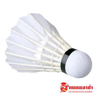 ลูกขนไก่ AR ลูกแบด ลูกแบดมินตัน ขนไก่ Badminton