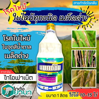 🌾 แมกซ์ซิม (ไทโอฟาเนต-เมทิล) ขนาด 1ลิตร ป้องกันกำจัดโรคจุดใบสีน้ำตาล