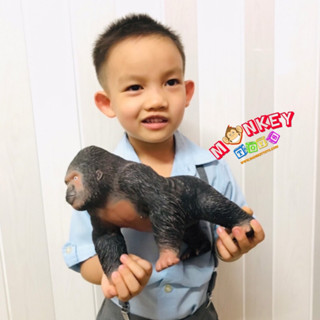 Monkey Toys - โมเดลสัตว์ ลิงกอลิล่า ขนาด 28.00 CM แบบนิ่ม (จากหาดใหญ่)