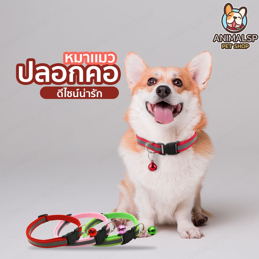 ปลอกคอสัตว์เลี้ยง พร้อมกระดิ่ง ปลอกคอแมว ปลอกคอสุนัข SP388