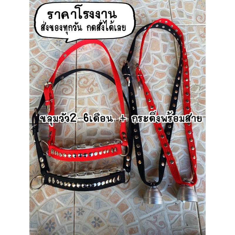ขลุมวัวสวยงาม กระดิ่งวัวพร้อมสาย ราคาโรงงาน มีของพร้อมส่งทุกวัน
