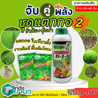 🌾 ชุดแตกกอ2 เกรทพาวเวอร์ (21-3-3)+มัสแตง ขนาด 1ลิตร+100กรัมx2ซอง แตกกอ ใบเขียว รากเดิน