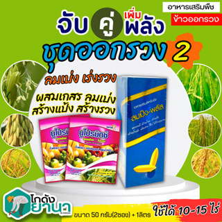 🌾 ชุดออกรวง2 ลมเบ่งพลัส+นูโปรมิกซ์-แคลเซียมโบรอน ขนาด 1ลิตร+50กรัมx2ซอง ใบเขียว สร้างอาหาร สะสมอาหาร