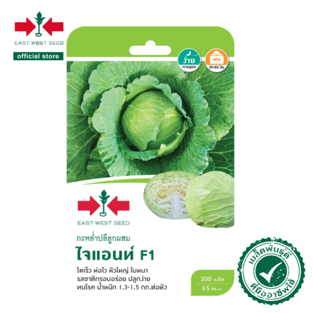 ศรแดง เมล็ดพันธุ์กระหล่ำปลี F1 ไจแอนท์ (East-West Seed) เมล็ดพันธุ์ ผักสวนครัว ตราศรแดง