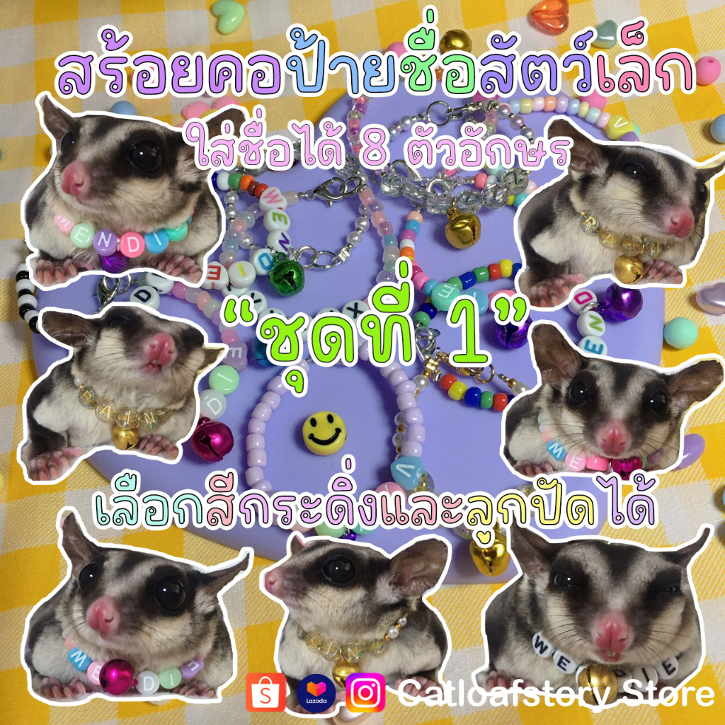 [แจ้งชื่อด้วยน้าา] สร้อยคอป้ายชื่อสัตว์เล็ก กระรอก นก หนู ลูกแมว ใส่ได้สูงสุด 8 ตัวอักษร กดผ่าน Shopee video ลด 40%