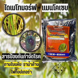 ไดเมโทมอร์ฟ+แมนโคแซบ 2 พลังบวก พิชิตเชื้อรา ออกฤทธิ์ควบคุมเชื้อรา ได้อย่างกว้างขวาง (ขนาด 1กิโลกรัม)