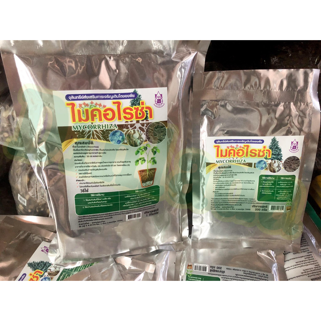 ไมคอร์ไรซ่า MYCORRHIZA สินค้าพร้อมจัดส่ง