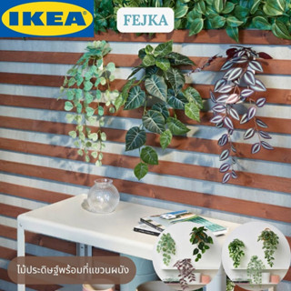 IKEA FEJKA เฟคก้า ไม้ประดิษฐ์พร้อมที่แขวนผนัง ไม้ประดิษฐ์