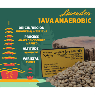 พร้อมส่ง เมล็ดกาแฟ Lavender Java Anaerobic Double washed process/ เมล็ดกาแฟนอก/ สารกาแฟอินโดนีเซีย