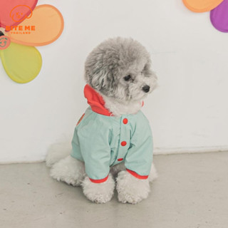 Bite Me Gelato Windbreaker Jacket - Mint