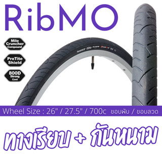 ยางนอกจักรยาน Panaracer Ribmo ทางเรียบกันหนาม ทุกขนาดวงล้อ