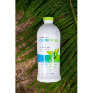 คลอโรฟิลล์Synergyสินค้าใหม่พร้อมส่ง